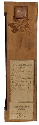 Holzbuch