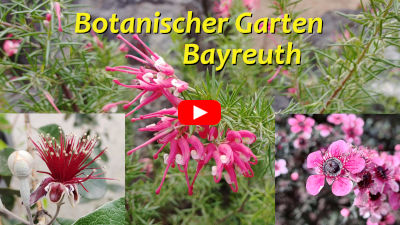 Botanischer Garten Bayreuth
