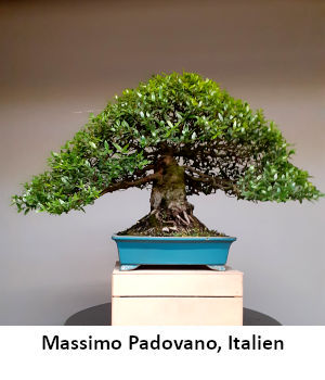 404_Massimo_Padovano