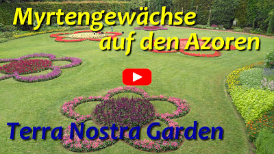 Terra Nostra Garden