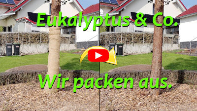 Winterschutz entfernen